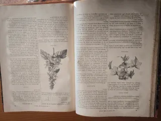 Las plantas que curan y las plantas que matan .