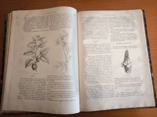 Las plantas que curan y las plantas que matan .