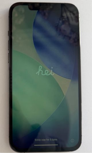 iPhone 12 Pro Max 256 GB Grafito