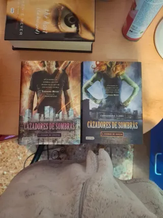 Primer y tercer libro cazadores de sombras.