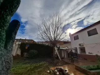 Podas, desbroces, ect