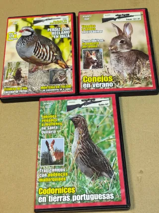Lote 18 DVDs de Caza