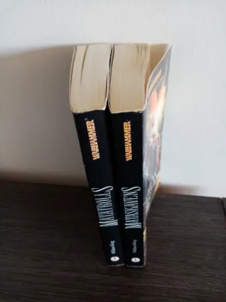 Lote de 2 libros Warhammer. Matatrolls Mataskavens