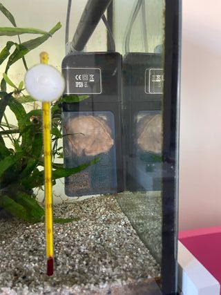 Pecera AqualedPro 86L + Kit Acuario