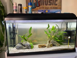 Pecera AqualedPro 86L + Kit Acuario