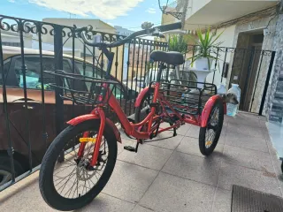 Triciclo para adultos