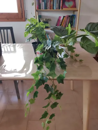 Pack 4 Plantas Decorativas Plástico Ikea