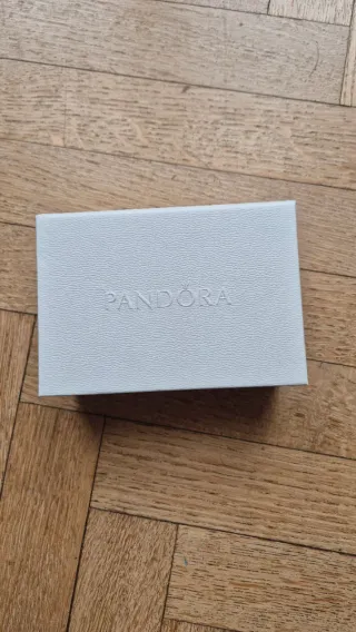 Spazzolino pulizia Pandora