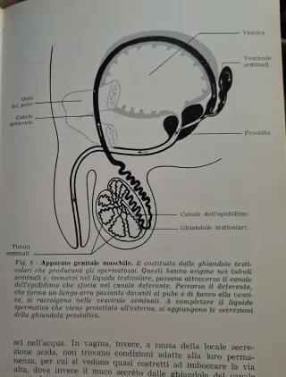 Libro "Sarò madre" ed Rizzoli