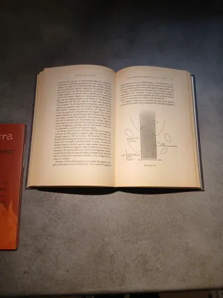 Libro historia del tiempo de Stephen w. Hawking