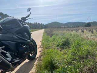 Kawasaki Z800 Negra y Verde
