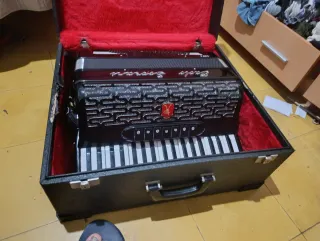 Acordeón con estuche