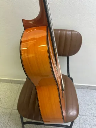 Guitarra flamenca Peña Vargas Taranto 2017