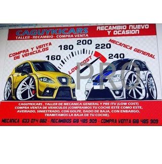 Moldura paragolpes Peugeot 307 Izquierda