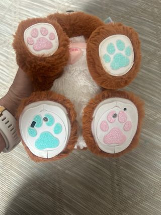 Perrito Present pets Cocoa