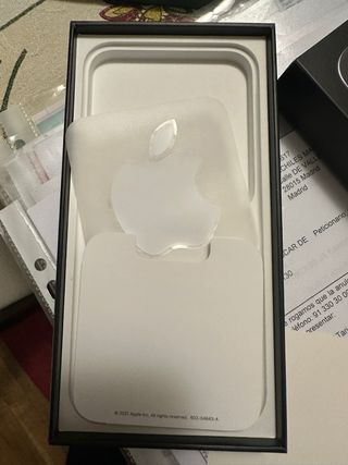 iPhone 13 Pro Max 256GB Grafito