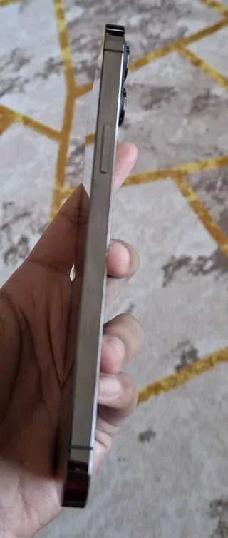 iPhone 12 Pro Max Gris Espacial