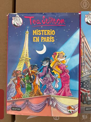 Aventura en Nueva York: Tea Stilton 6