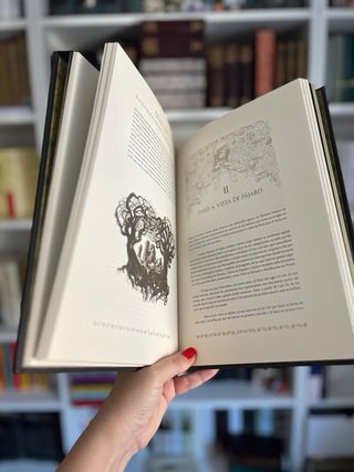 Nuestra señora de Paris. Victor Hugo.ILUSTRADO.