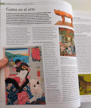 Gato. La enciclopedia (Spanish Edition)