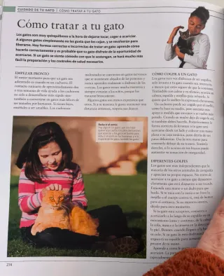 Gato. La enciclopedia (Spanish Edition)