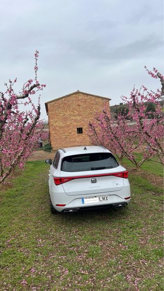 SEAT Leon FR 1.5 tsi 150cv