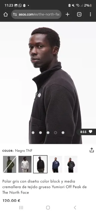 Polar The North Face gris cremallera