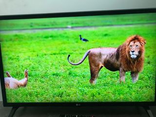 Televisor LG Smart TV de 32 pulgadas