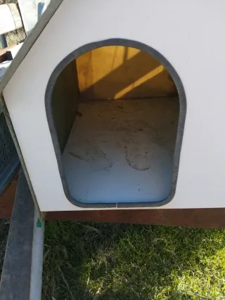 Caseta para perro blanca y verde