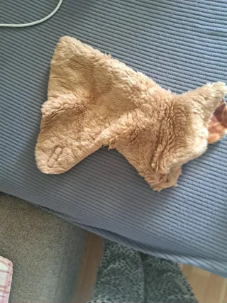 Traje de Mascota Beige y Dorado