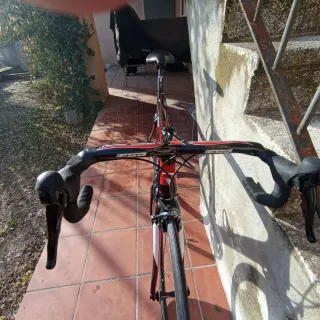 Pinarello FP4 Carbono Carretera