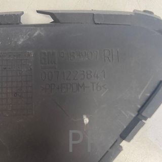 ORIGINAL TAPA ANTI NIEBLA 9183907