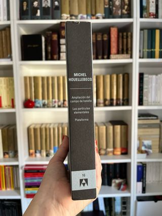 Michel Houellebecq compendium