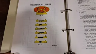 Reglamento Tiro de Armas Individuales 1980