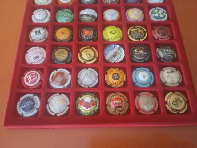 Placas de cava coleccionables n1