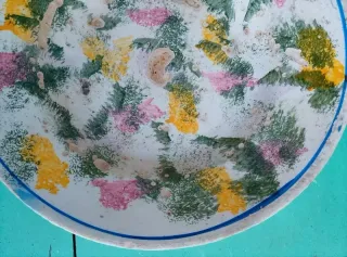 prato sopa antigo cerâmica bruta