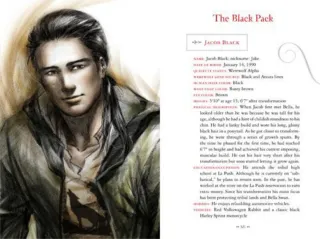 Saga Crepúsculo, Guía oficial. Stephenie Meyer.