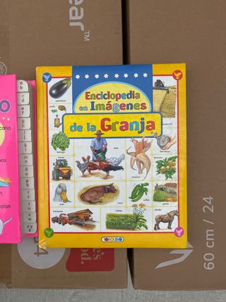 Aprende el abecedario con estos dos libros