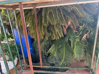 Estructura metálica para leña