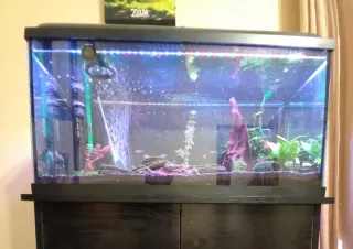 Acuario 100L con tapa