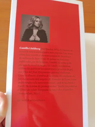 La bruixa (Catalan Edition)