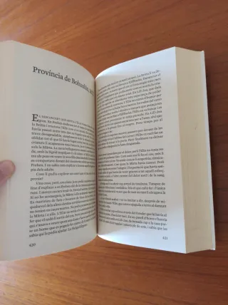 La bruixa (Catalan Edition)