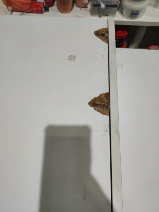 Mostrador blanco para tienda