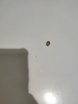 Mostrador blanco para tienda