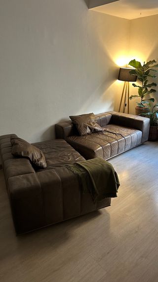 Sofá de piel de búfalo