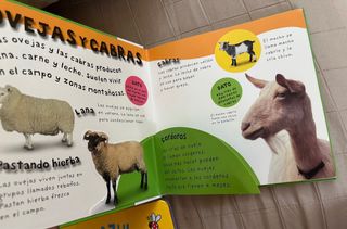 Libros infantiles con pop-ups