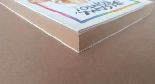 Bésame tonto. Libro