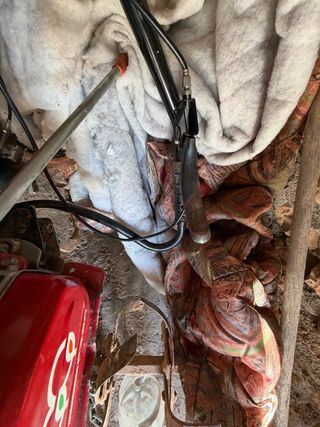 Mula de labranza antigua