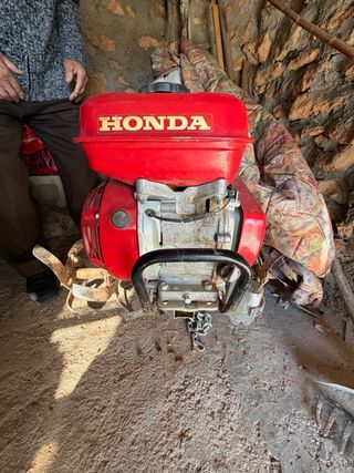 Mula de labranza antigua