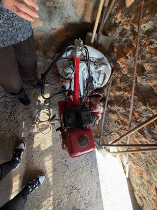 Mula de labranza antigua